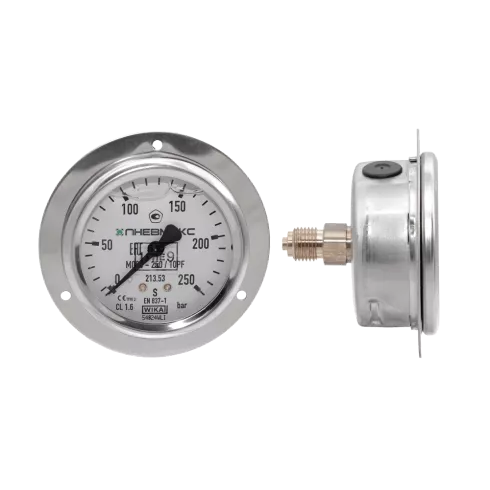 Манометр вибростойкий DUPLOMATIC MS S.p.a. M63-250/10PF_36795212_31194021