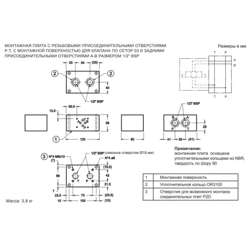 Плита для батарейного монтажа стальная DUPLOMATIC MS S.p.a. P4D-D3P/21_1561481, СЕТОР 3, порты сзади
