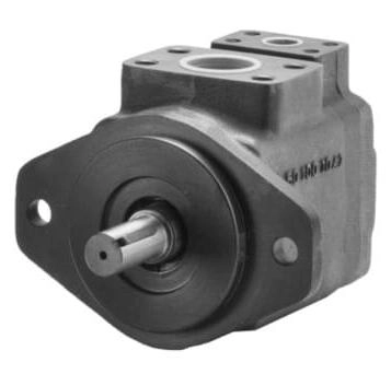 Насос пластинчатый DUPLOMATIC MS S.p.a. DFP2-17-RC1/20, 210 бар